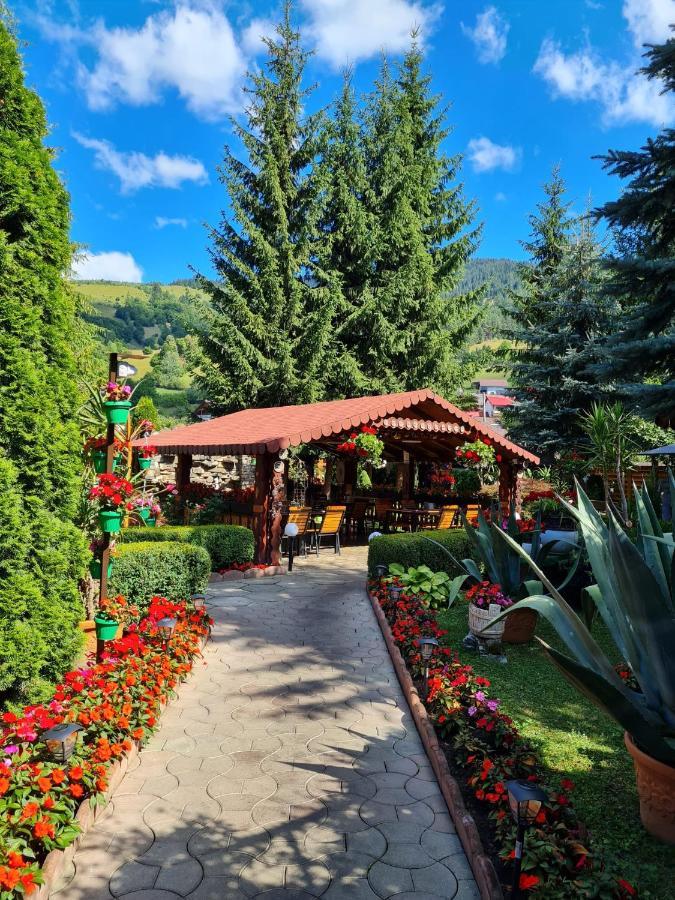 Pensiunea Orizont Farcasa エクステリア 写真